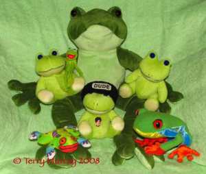 28684-frogs