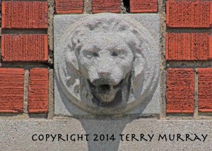 8cc52-lawrencelion-web